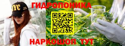 индика Севастополь