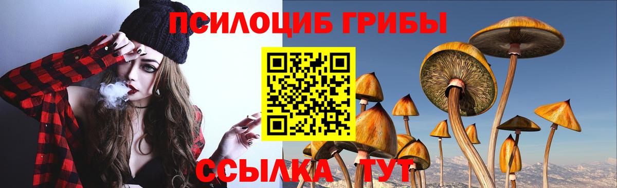 купить  сайты  Вход с VPN  Отрадное  Галлюциногенные грибы GOLDEN TEACHER 